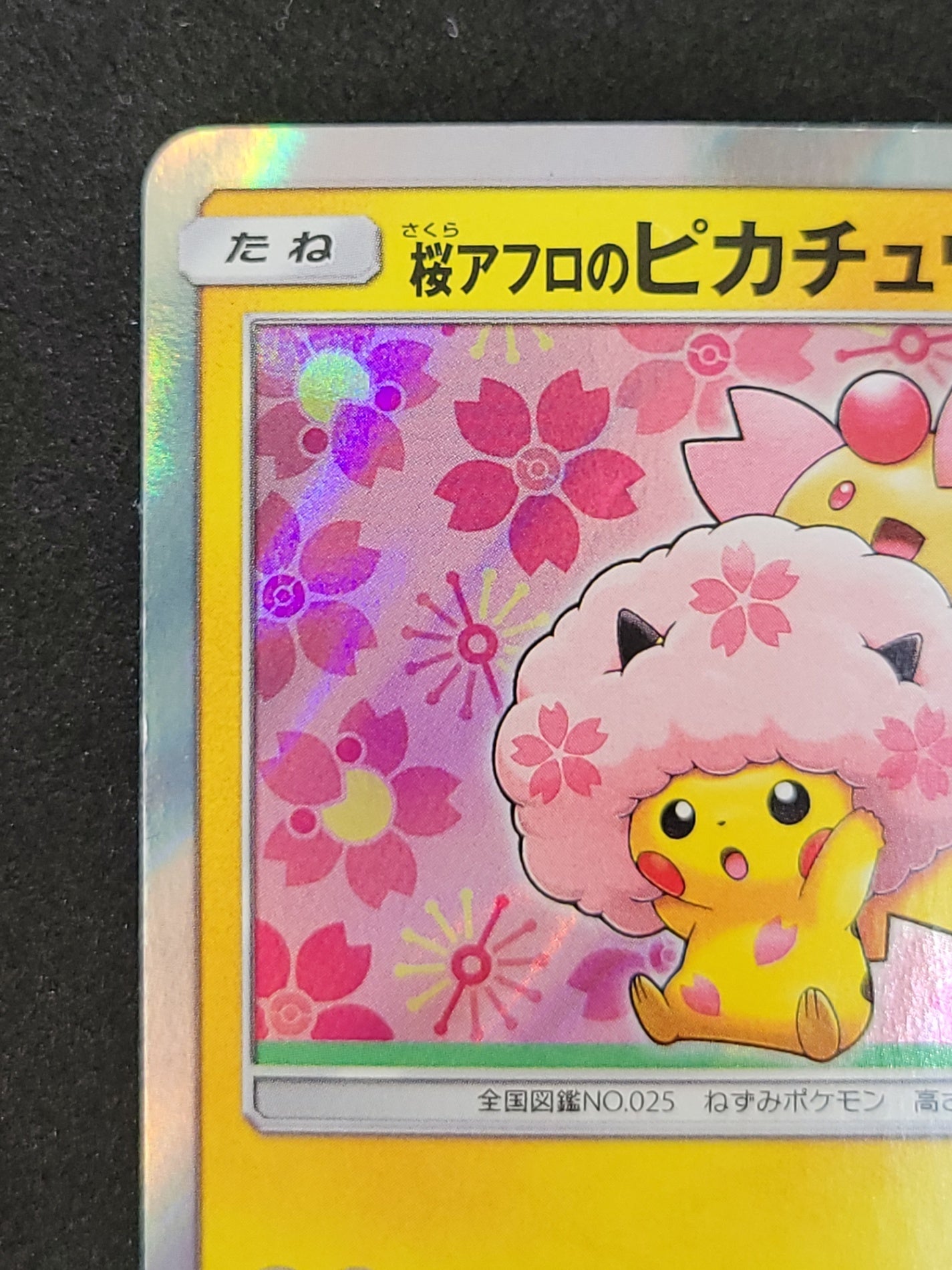 ポケモンカード 桜アフロのピカチュウ HP60(211/SM/P)