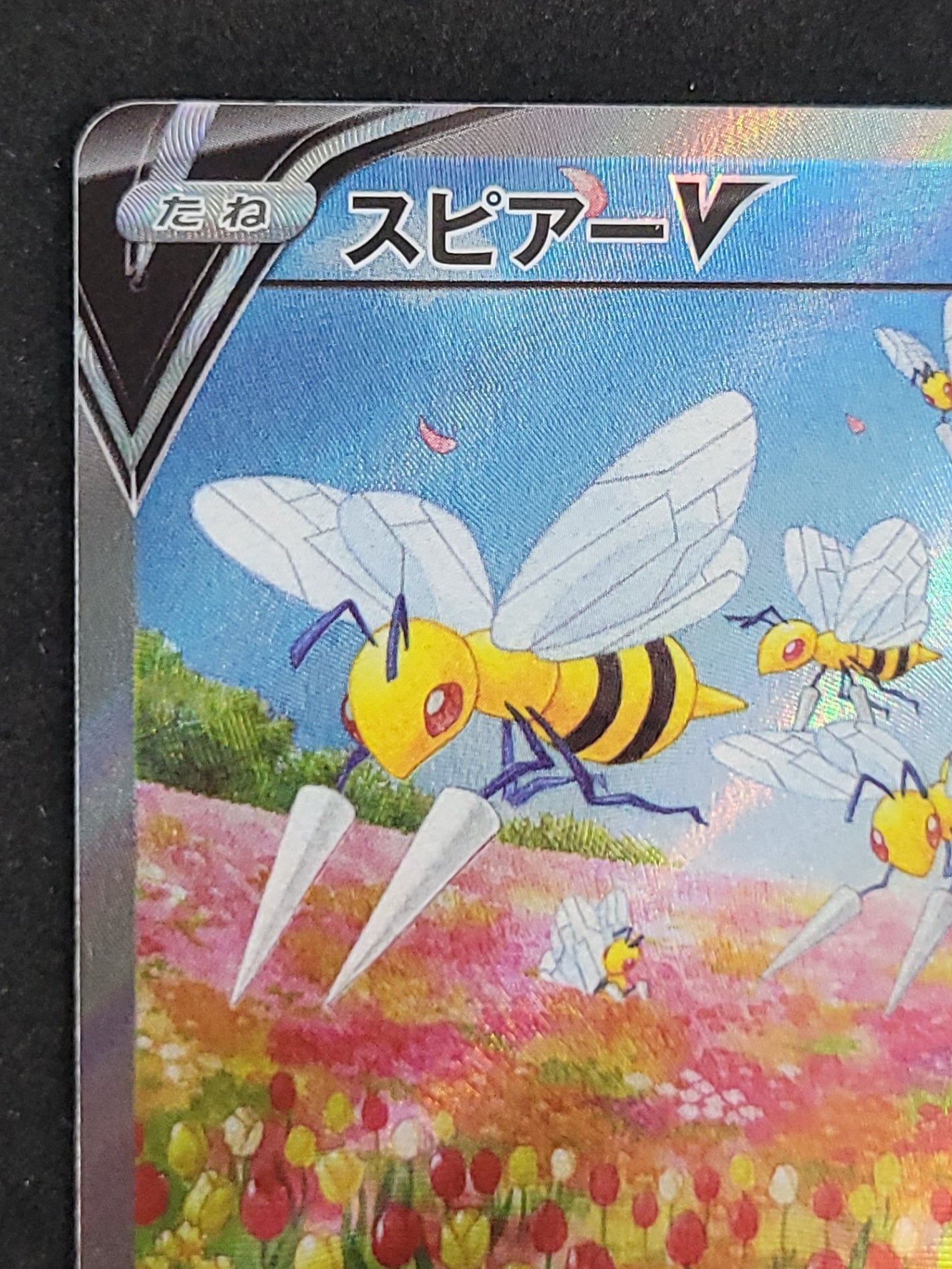 ポケモンカード スピアーV SA SAR SR ポケカ