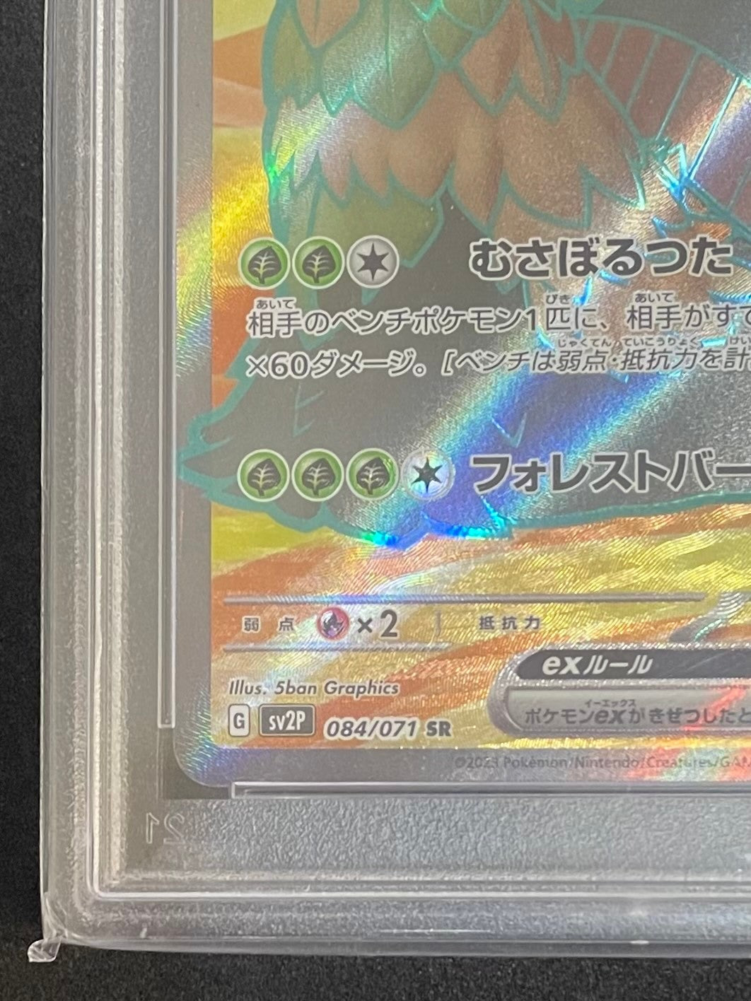 【PSA10】ポケモンカード チオンジェンex SR(084/071/SV2P/B)