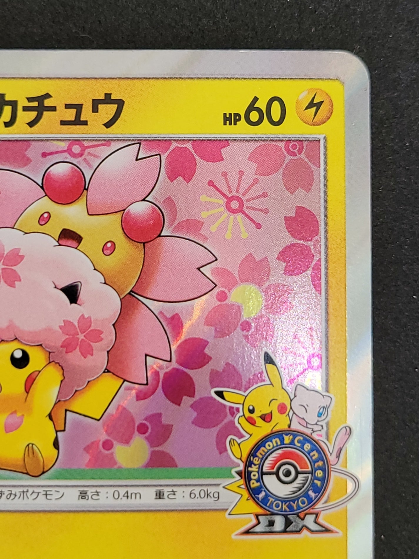 ポケモンカード 桜アフロのピカチュウ HP60(211/SM/P)
