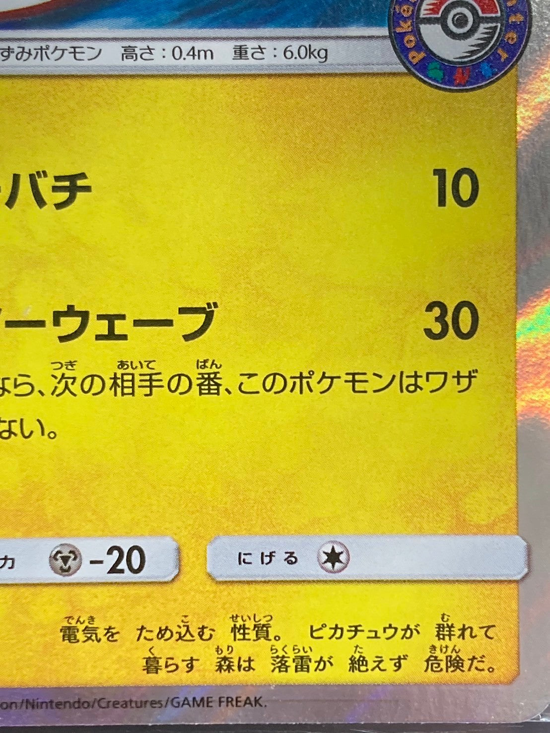 ポケモンカード 海で遊ぶピカチュウ PROMO 392/SM-P
