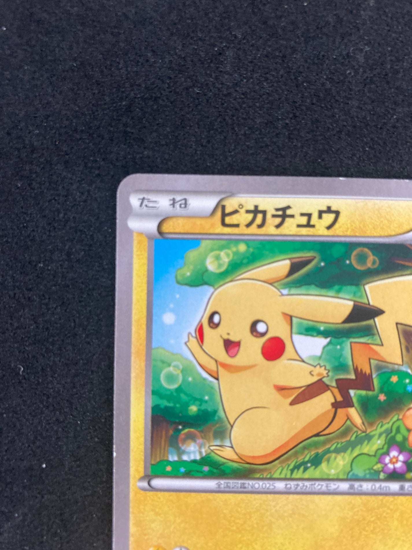 ポケモンカード　ピカチュウ プロモ 001/XY-P
