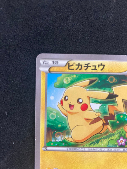 ポケモンカード　ピカチュウ プロモ 001/XY-P
