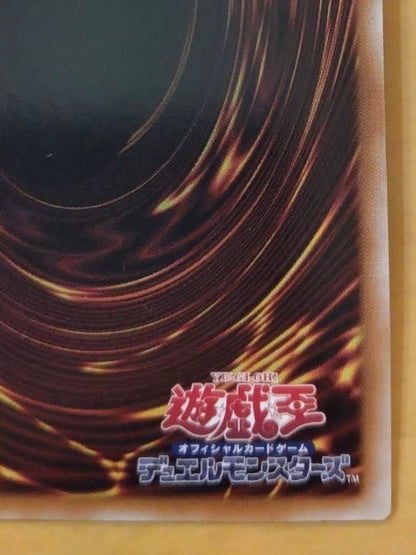 遊戯王　白き森の聖徒リゼット