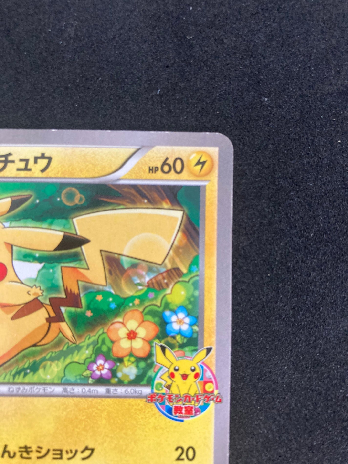 ポケモンカード ピカチュウ プロモ 001/XY-P – トレカ宮崎