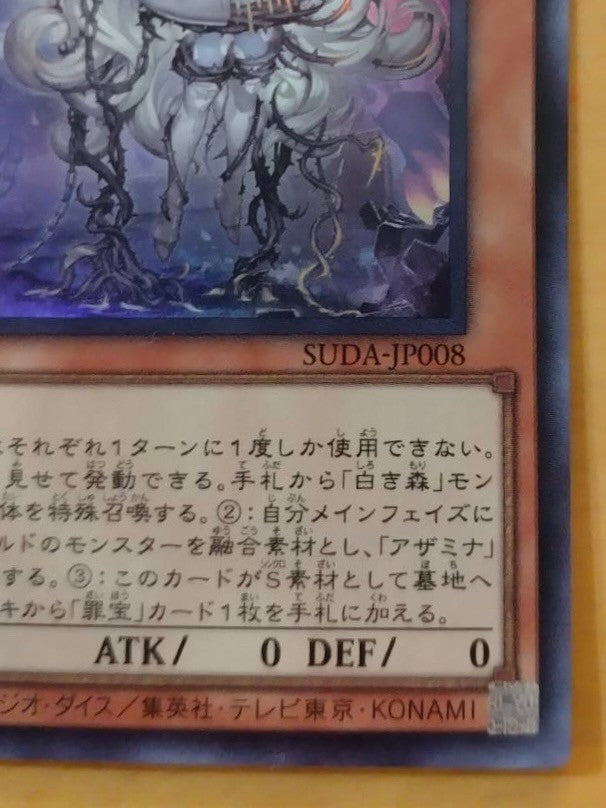 遊戯王　白き森の聖徒リゼット