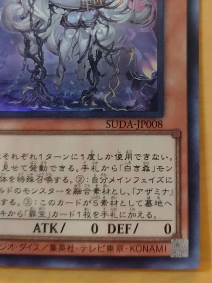 遊戯王　白き森の聖徒リゼット